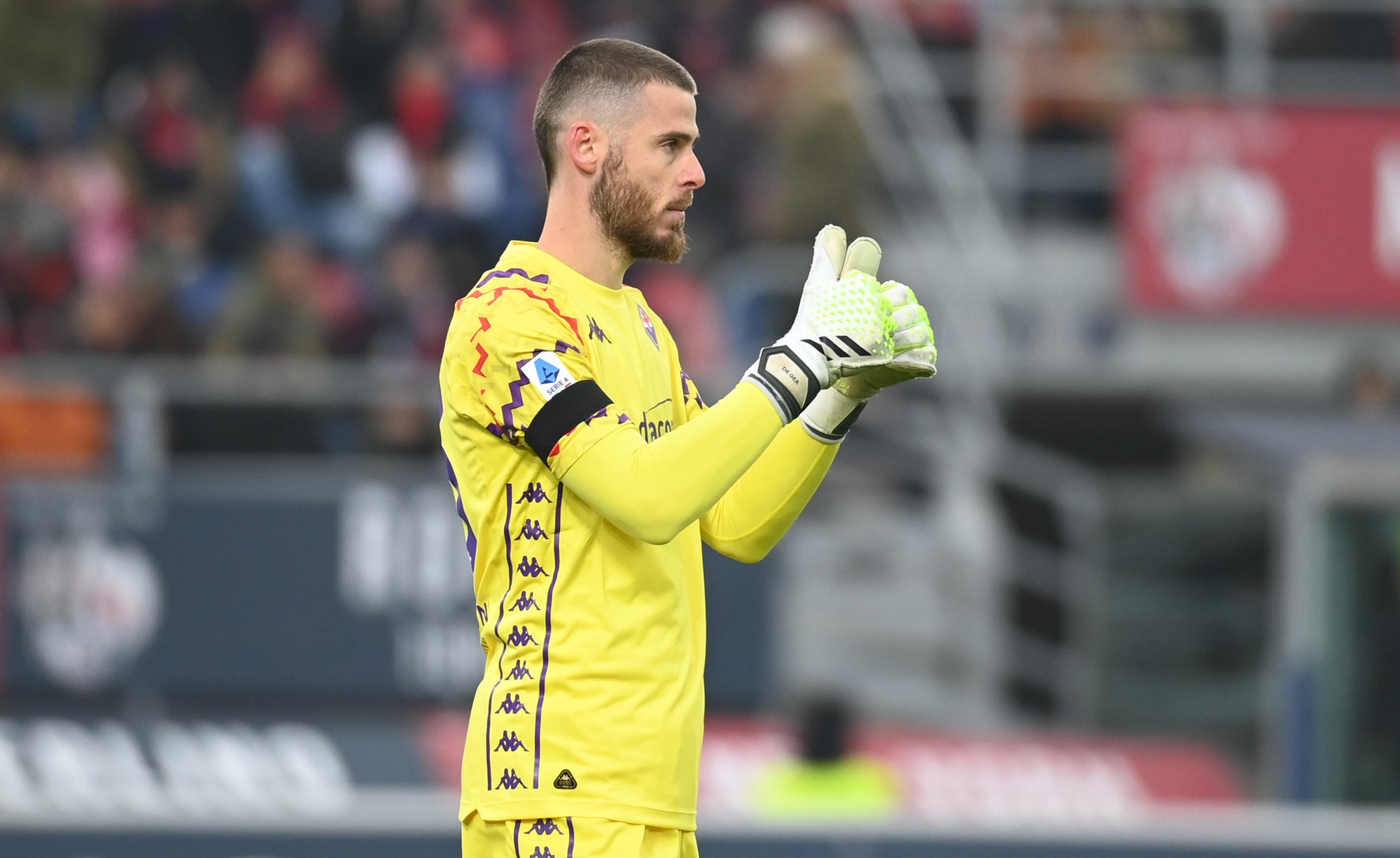 David De Gea
