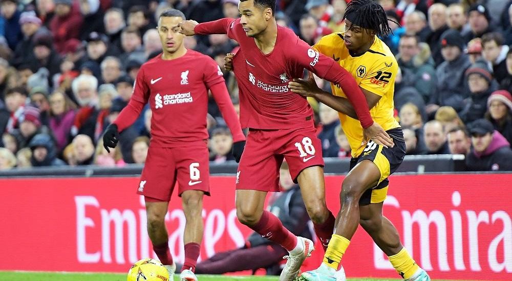 Cody Gakpo Liverpool