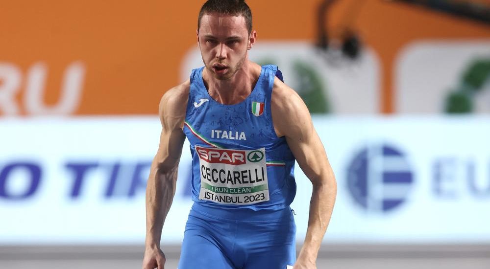 Ceccarelli