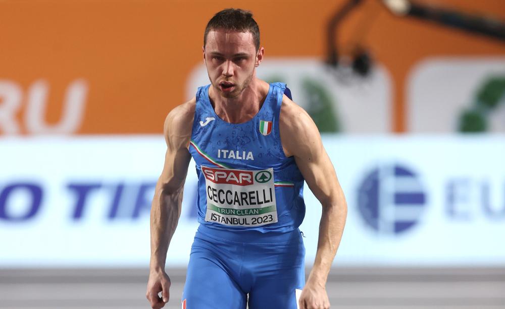 Ceccarelli