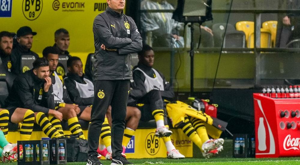 Edin Terzic Borussia Dortmund