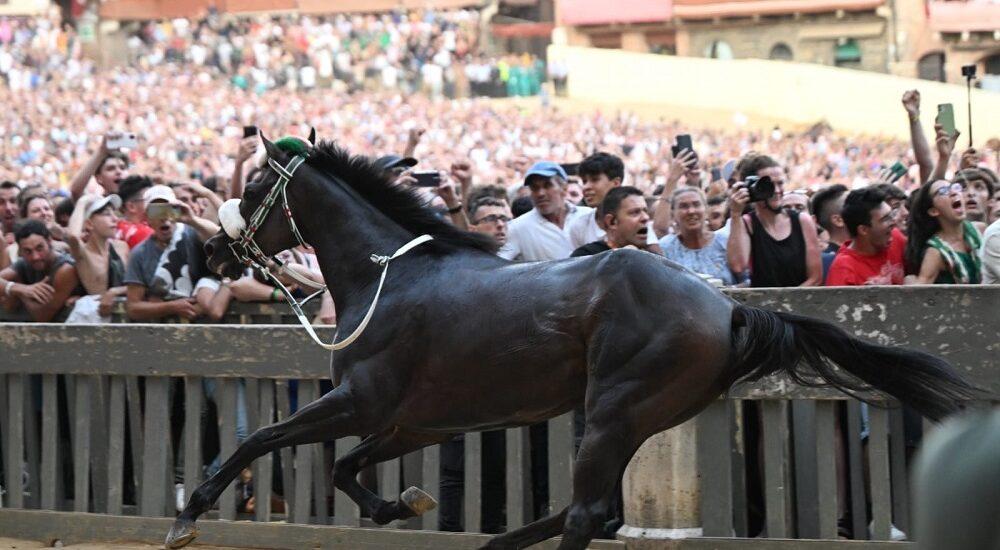Palio di Siena 2023 - Foto Antonio Fraioli