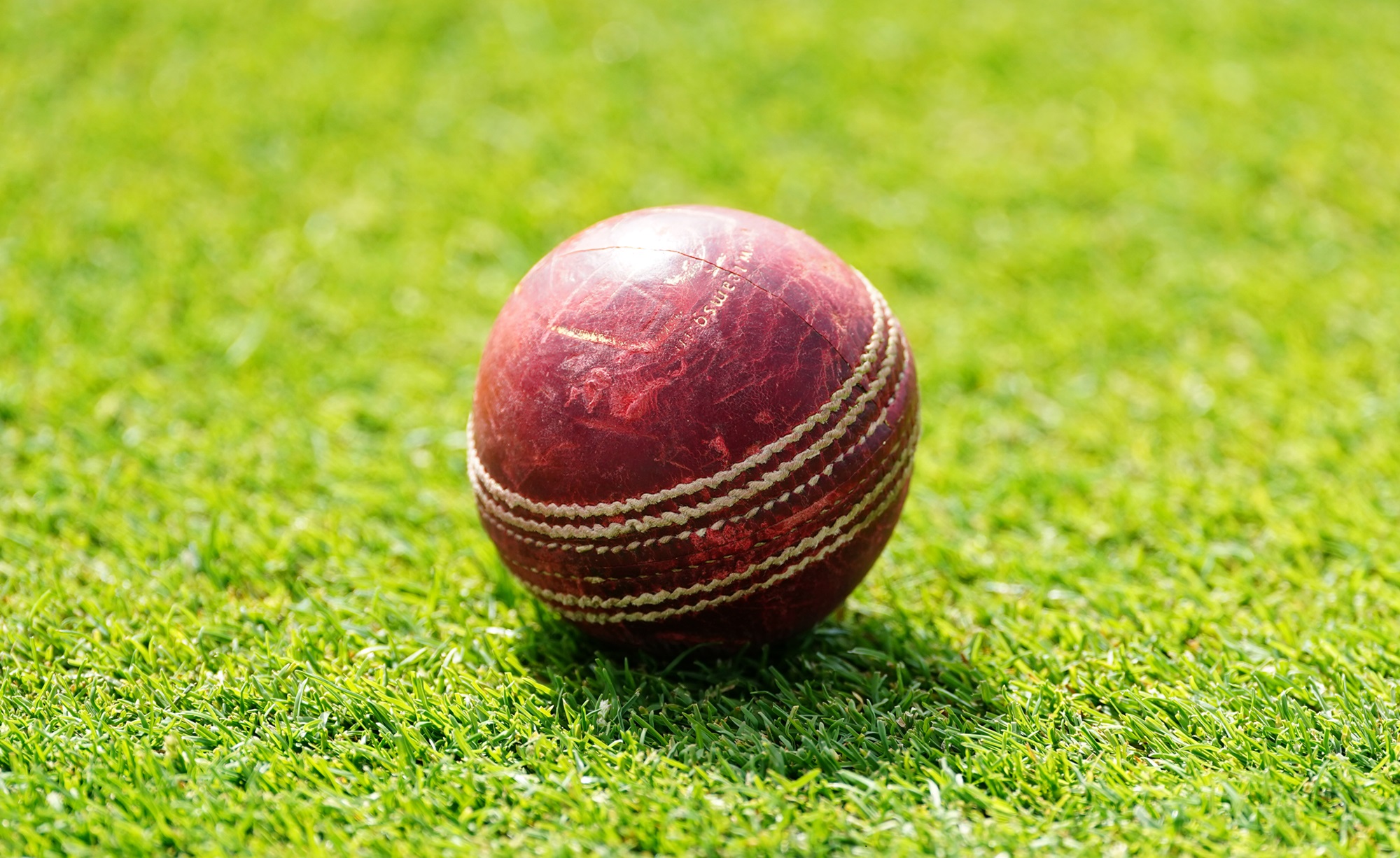 Palla cricket