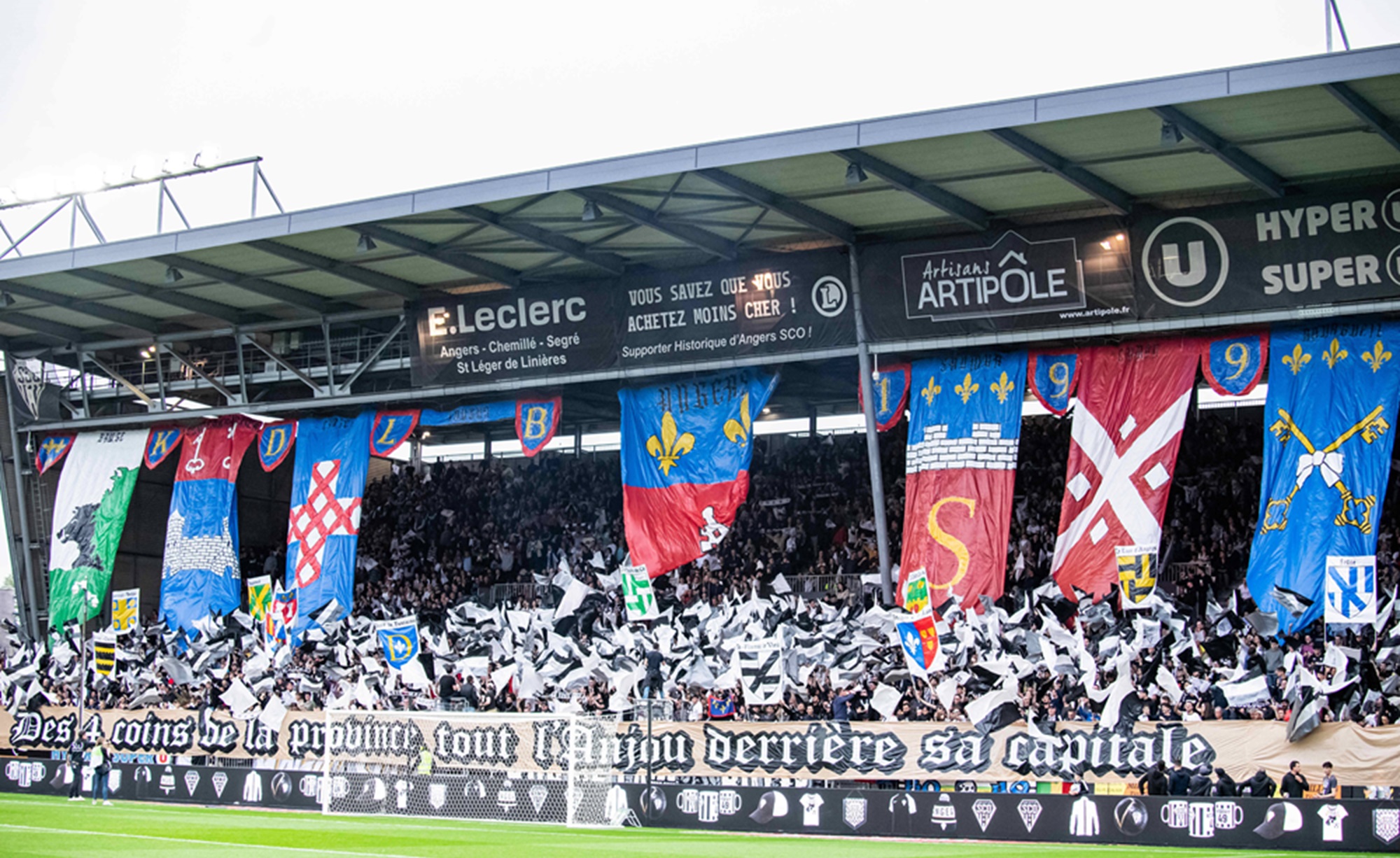 Tifosi Angers