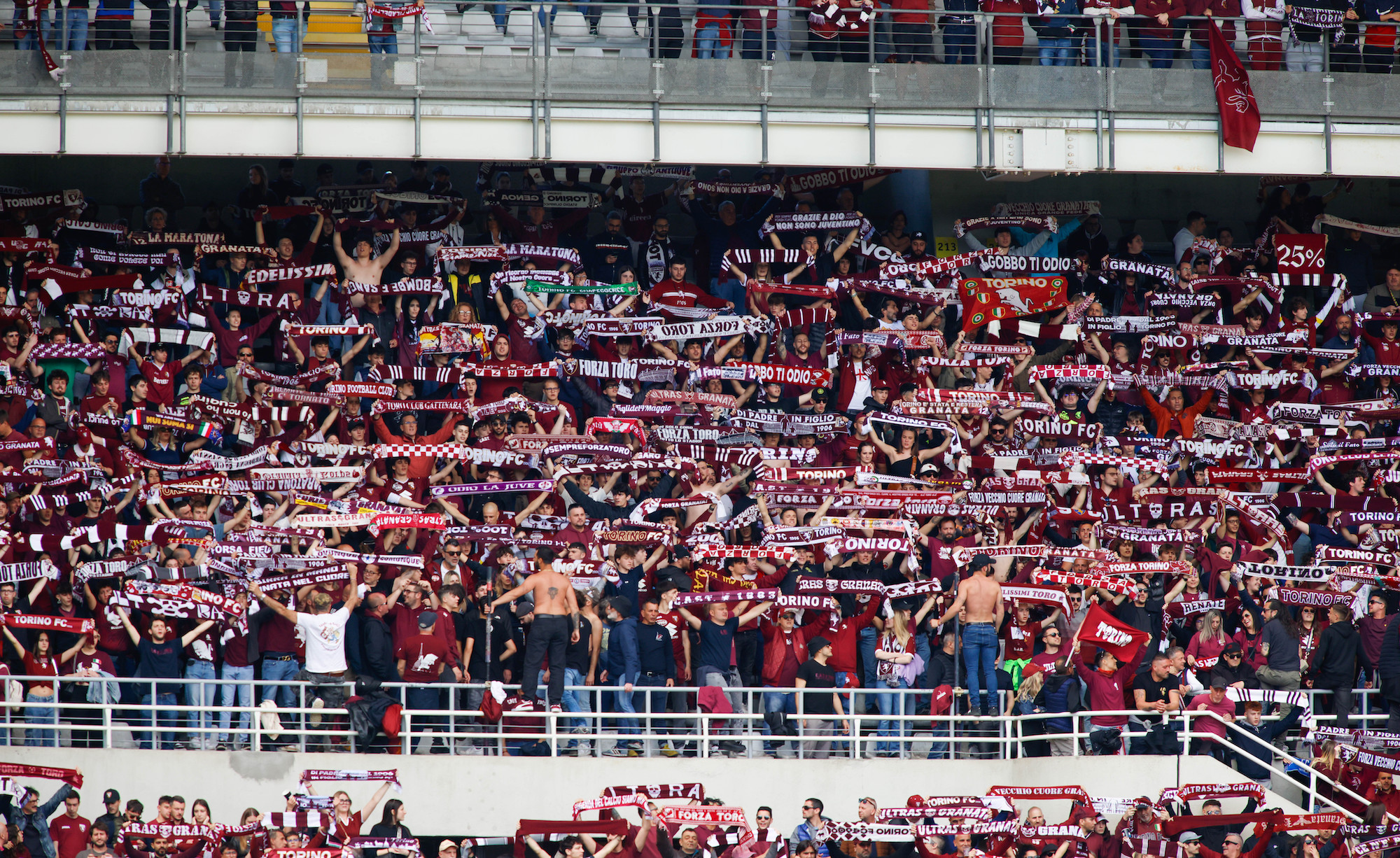 Tifosi Torino