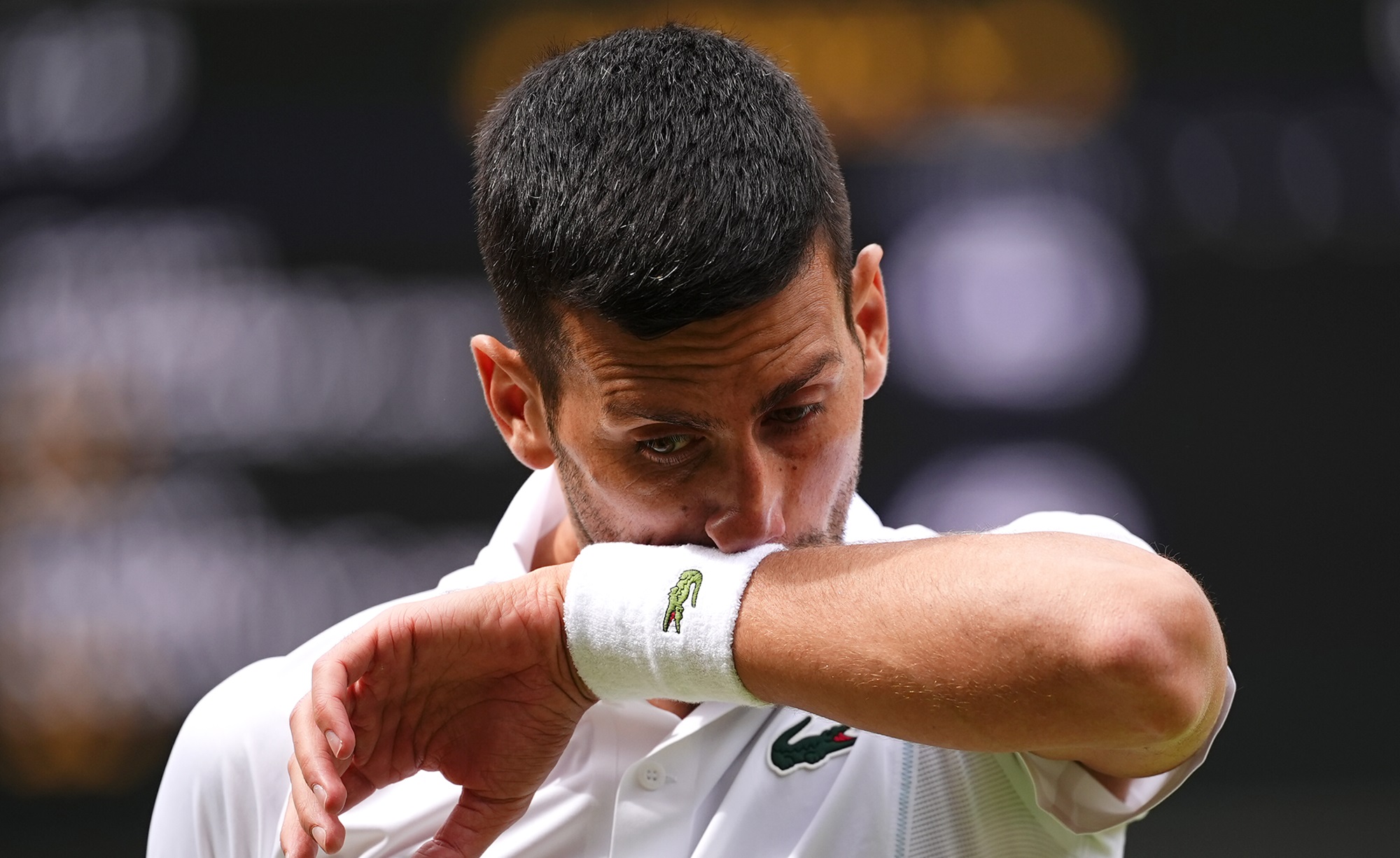 Novak Djokovic