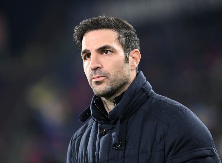 Cesc Fabregas