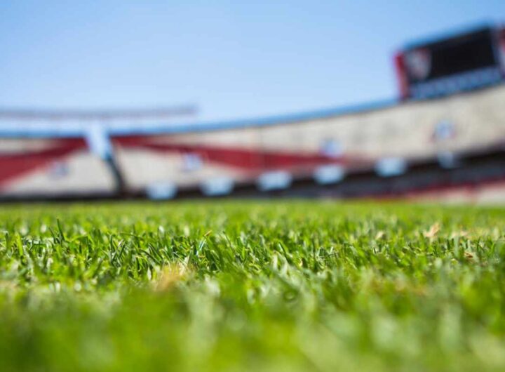 Stadio