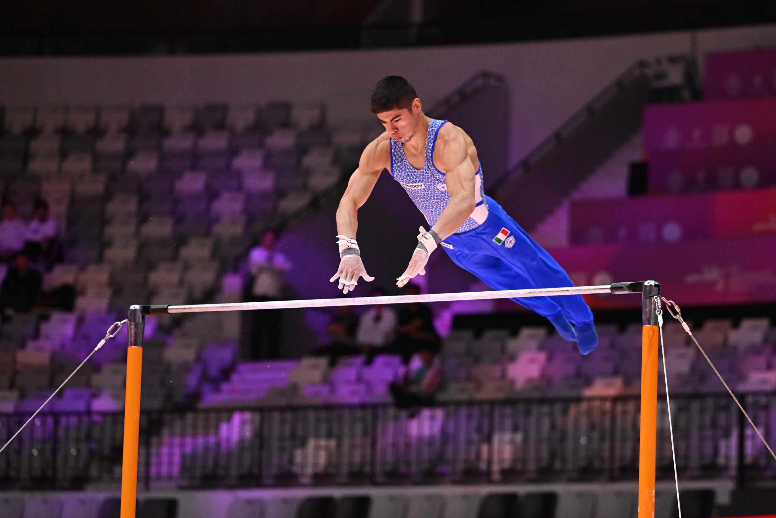 ALTRO Ginnastica 53rd FIG Artistic Gymnastics World Championships Men's Qualifications