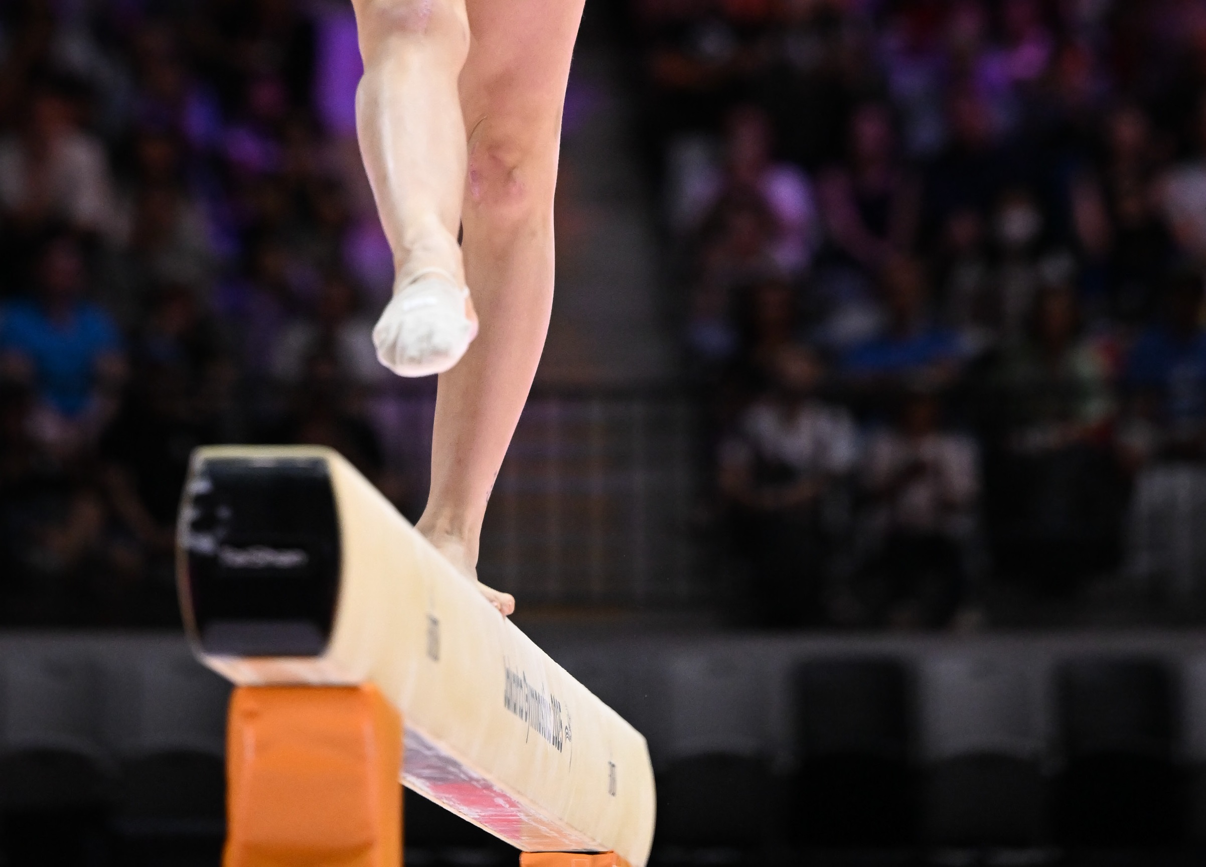 Ginnastica Artistica 53rd FIG Artistic Gymnastics World Championships