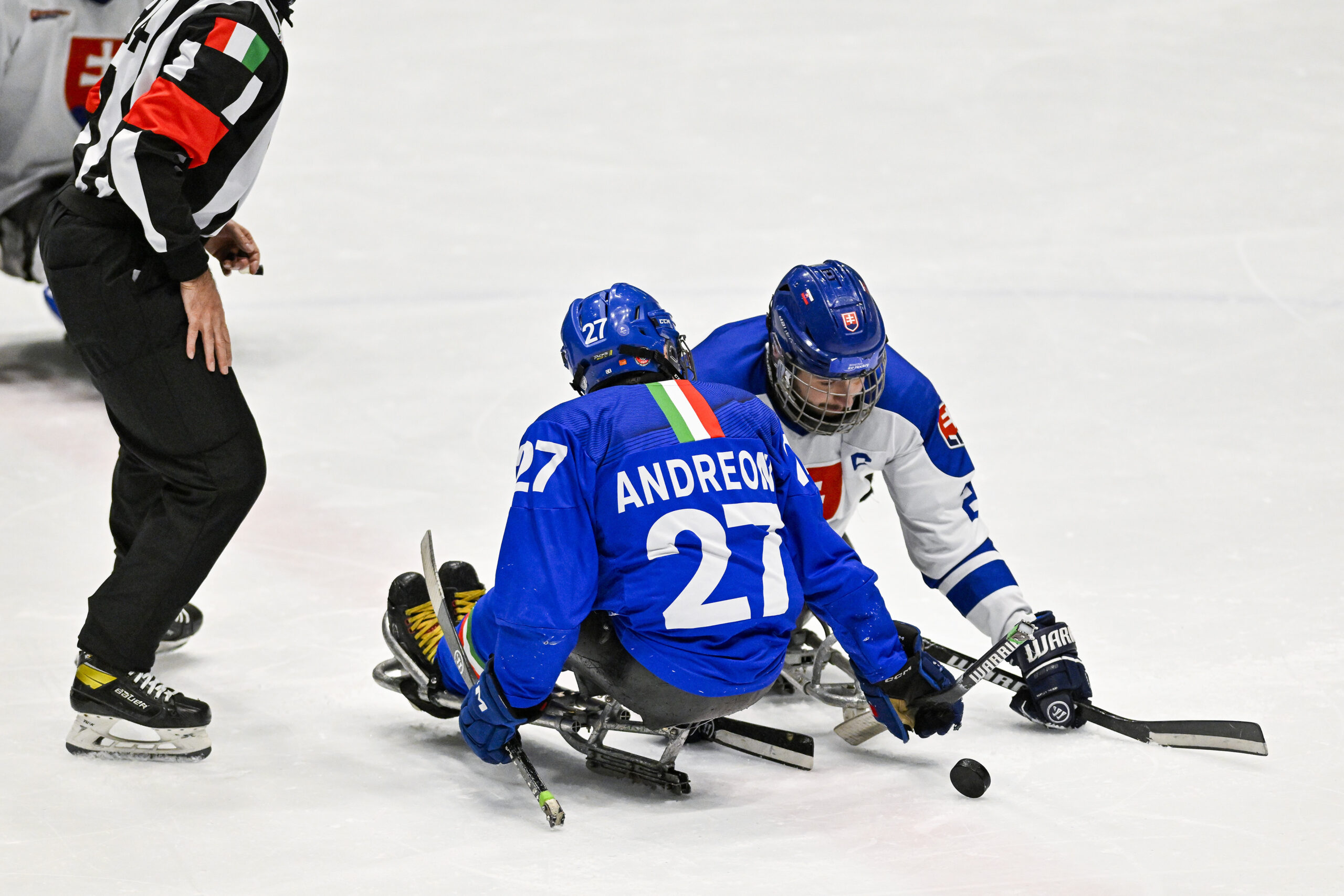 Hockey Torino Para Ice Hockey 12° International Tournament