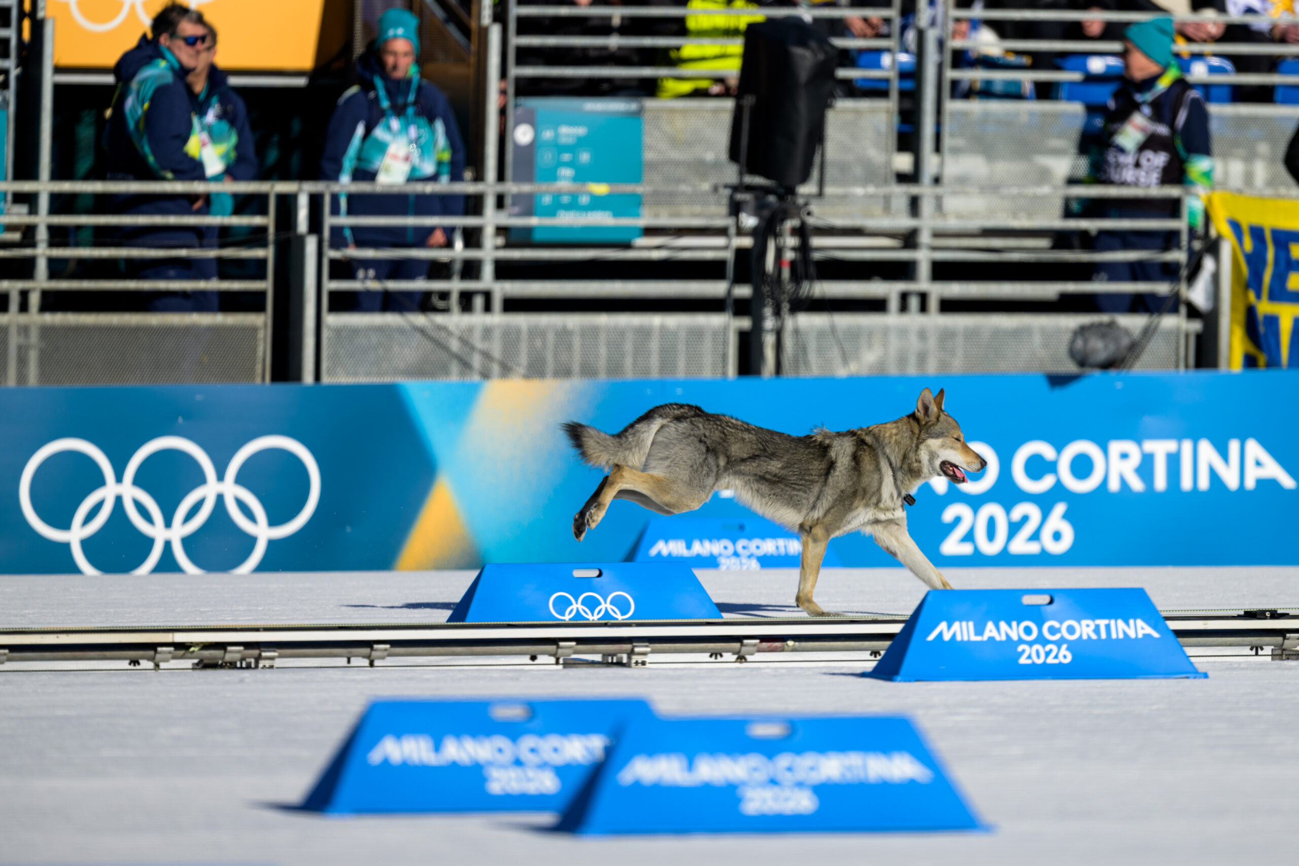 Olimpiadi Invernali Milano Cortina 2026 Sci Fondo