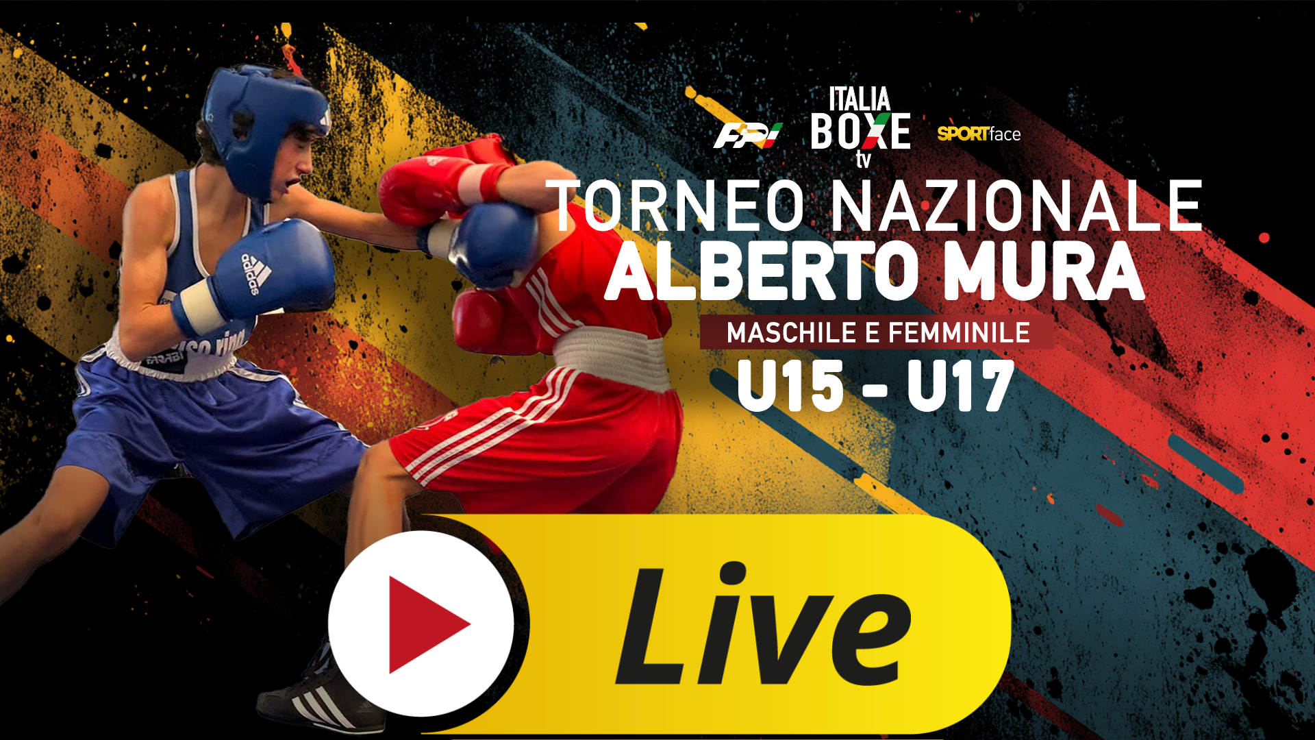 BOXE HOME 2 LIVE