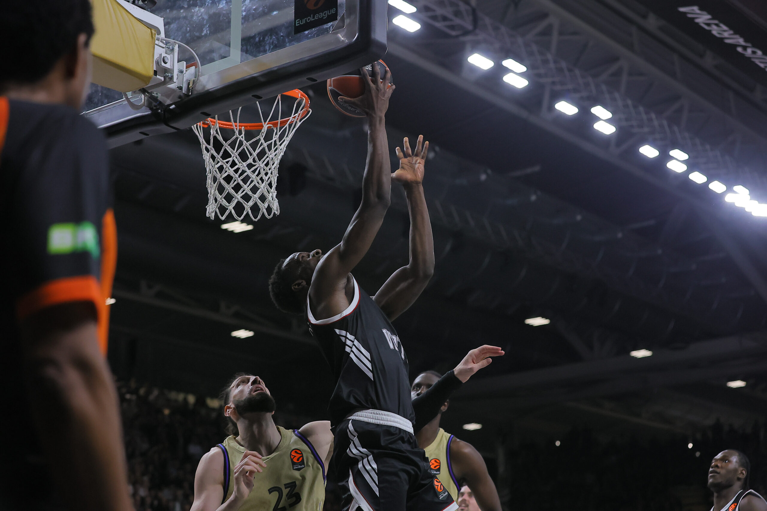 Basket Euroleague Virtus Bologna vs Barcellona