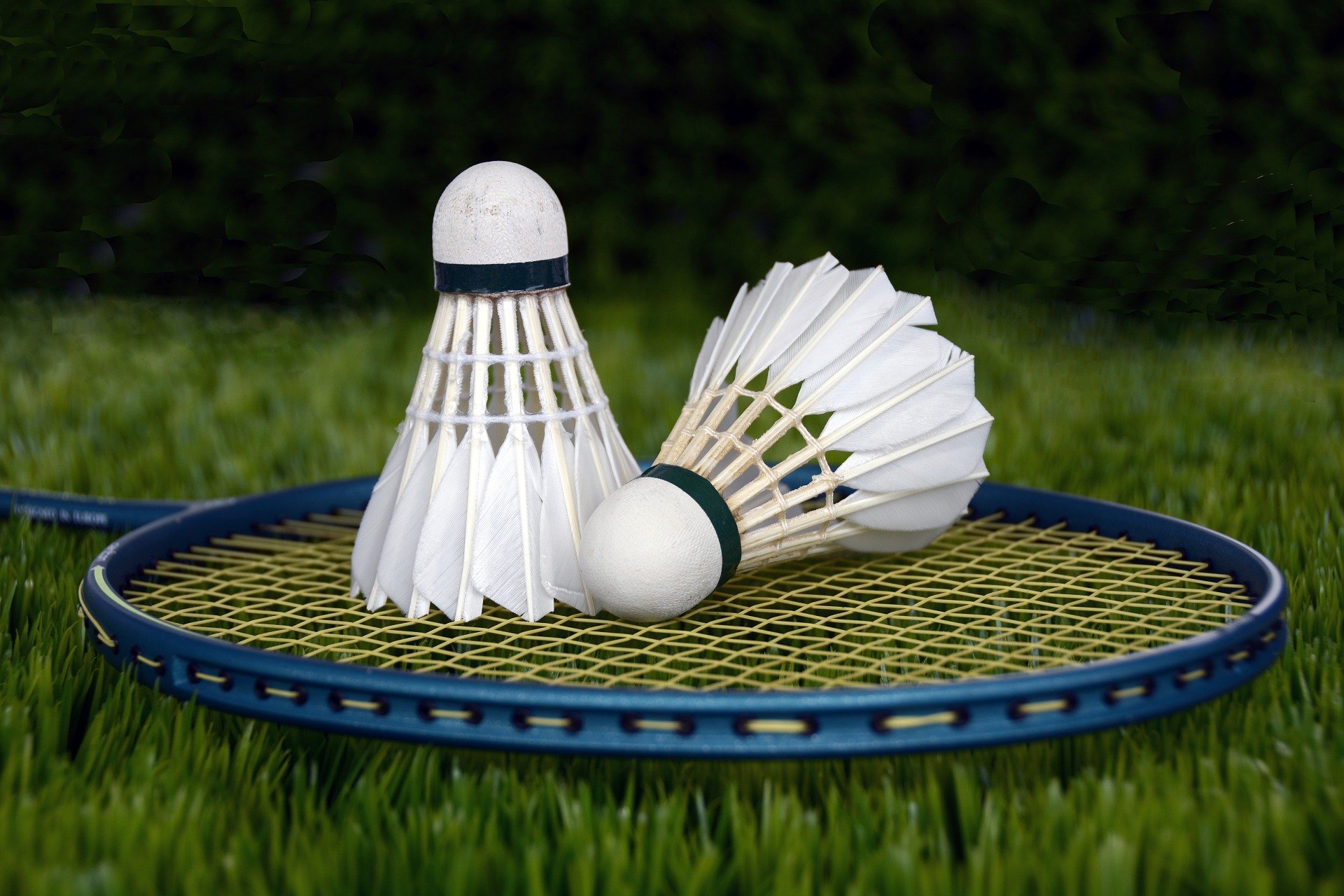 Badminton 1428047