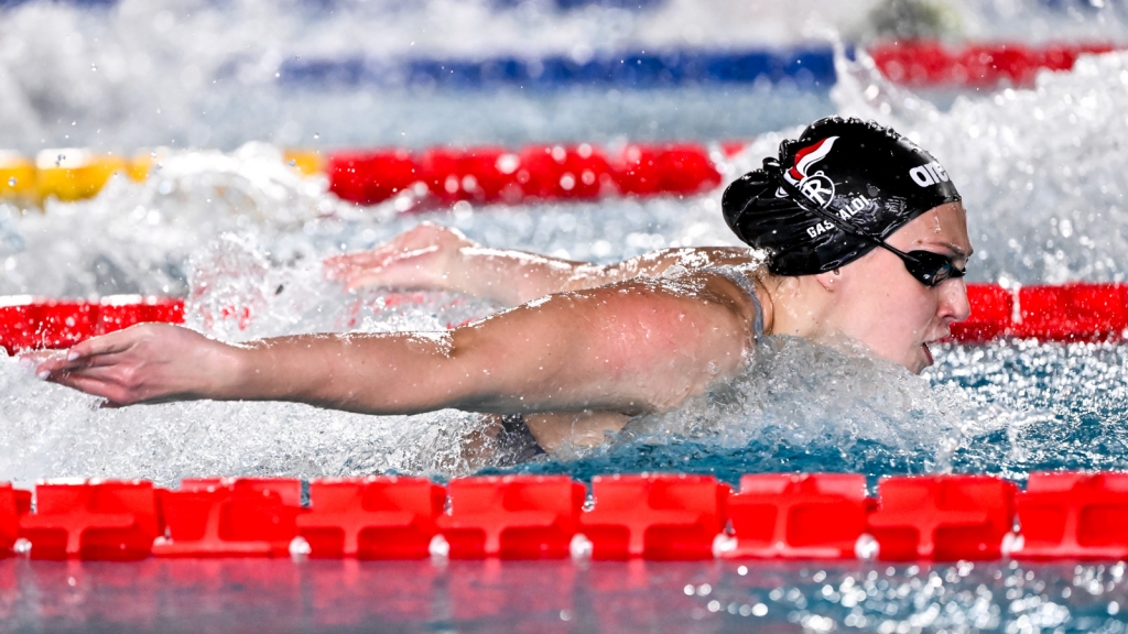 Anita gastaldi centro spvo carabinieri dbm rc30386 20260416