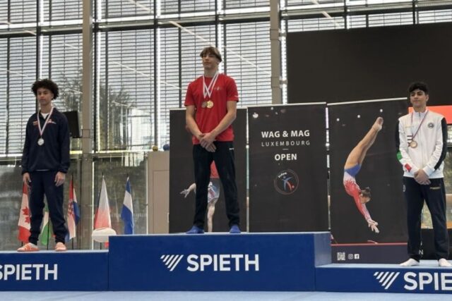 Federazione Italiana Ginnastica