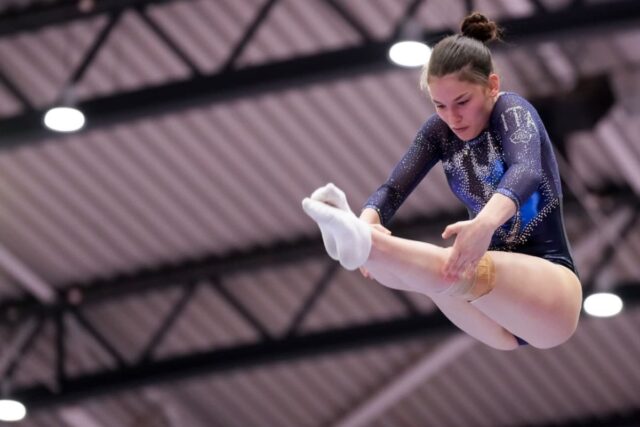 Federazione Italiana Ginnastica