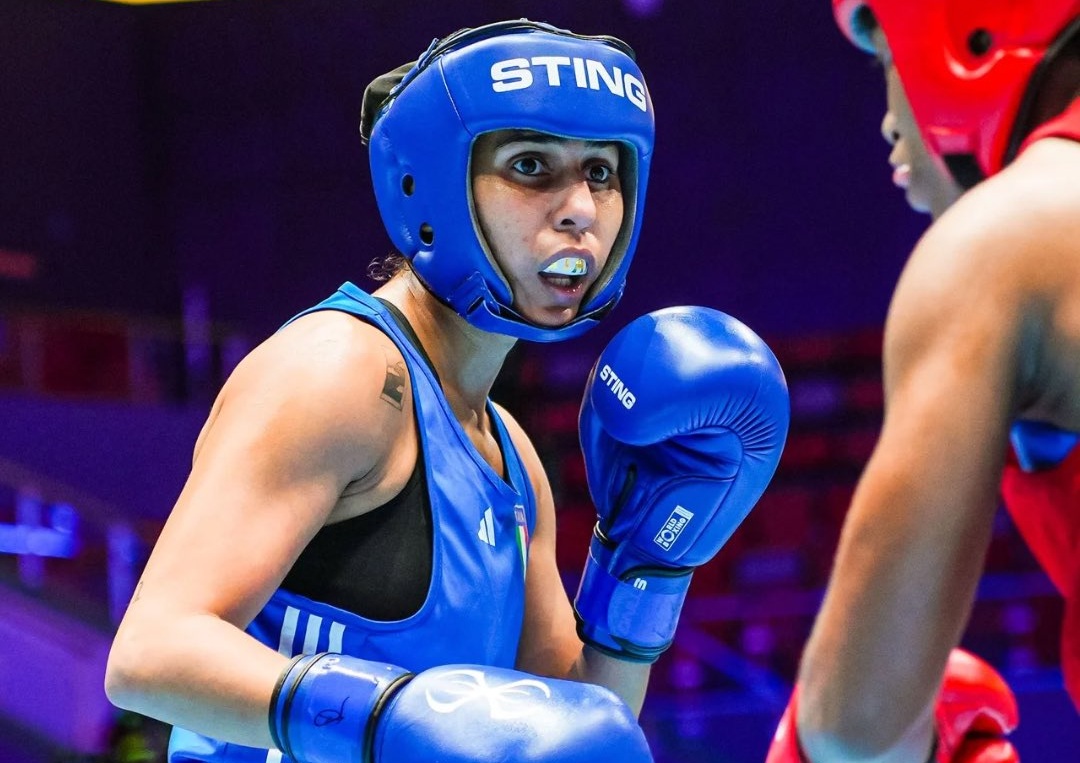 World boxing cup